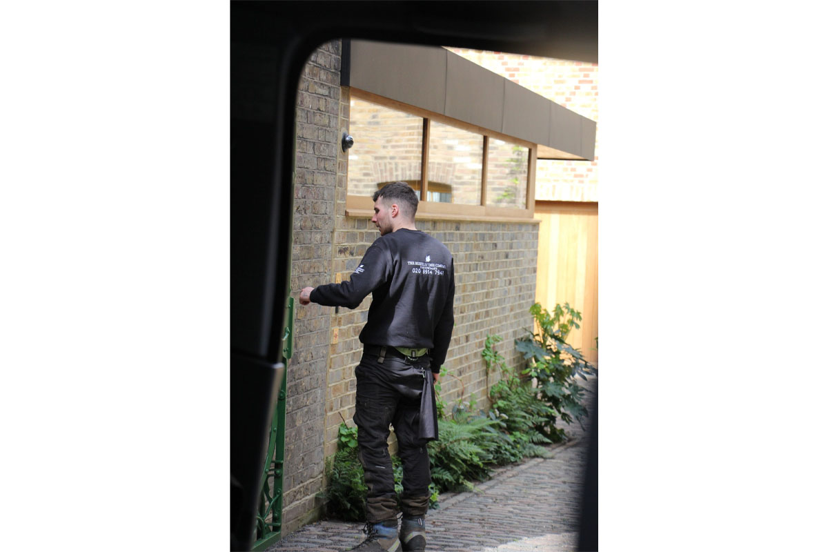 The Berkeley Tree Company Branded Jumper for The Berkeley Tree Company
